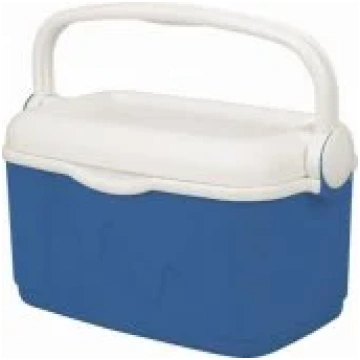 Curver Portable fridge 159907 auto ledusskapis 159