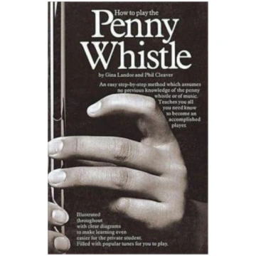 How To Play The Penny Whistle Gina Landor