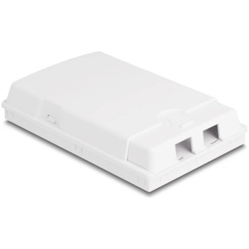 Delock Optical Fiber Connection Box for wall mount