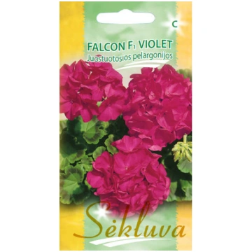 Pelargonija Falcon F1 Violet 5s * Darzinam.lv
