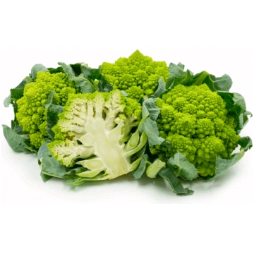 Broccolo romanesco bio