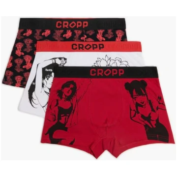 Apdrukāti bokseršorti, iepakojumā 3 gab. Cropp