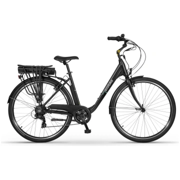 Elektriskais velosipēds Ecobike Basic Greenway, 19