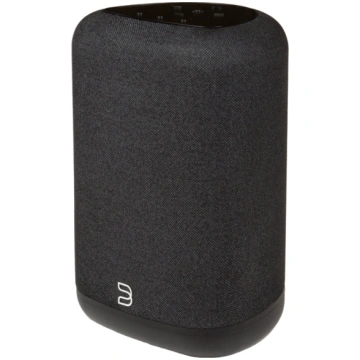 Bluesound Pulse Flex (2025)