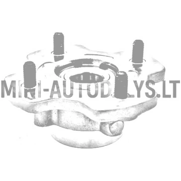 Aizmugurējā riteņa rumbas Ligier / Microcar Mini A