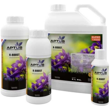 1l Amnesia.lt