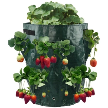 Zemeņu stādīšanas maiss, zaļš - strawberry plantin