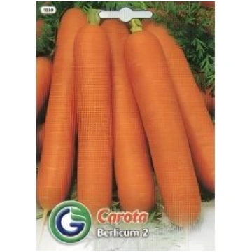 Galassi Sementi Sēklas burkāni Berlicum 2 7g