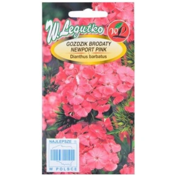 Sēklas Studentu neļķes Newpot Pink 0.5g 5903837119