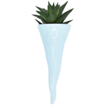 Horn carries celestial plant dust Carella Ostuni