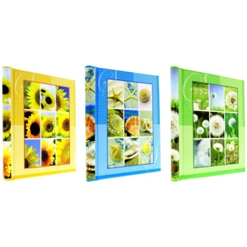 Fotoalbums 1- DRS 20 BLOOM