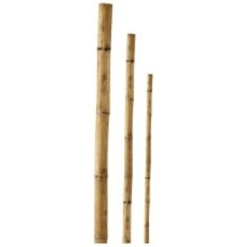 BESK Mietiņš bambusa 180cm 1gb