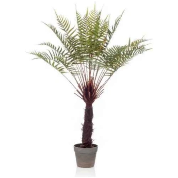 Lietots - Fern dicksonia 105cm
