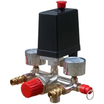 Robusta Luftkompressorpumpe, 230 V, Druckkontrolls