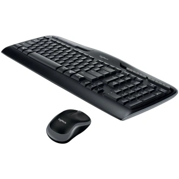Logitech Wireless Combo MK330 - keyboard and mouse