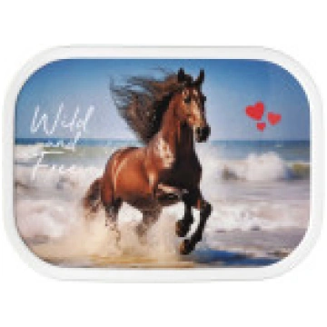 Rosti Mepal LUNCHBOX CAMPUS WILD HORSE 10744006540