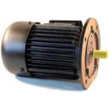 Flanca trīsfāžu asinhronais elektrodzinējs 5.5kW (