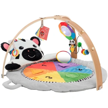 Baby Einstein Zen"s Activity Milestone aktivitātes