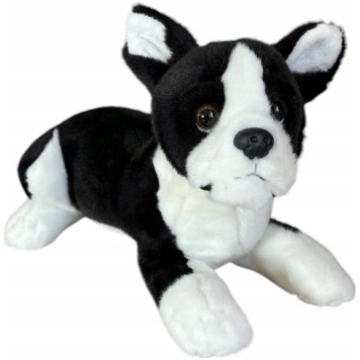 Dubi Pies boston terrier lezacy 28cm 32164 5905965