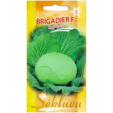 Kāposti skābēšanai Brigadier F1 sėkluva