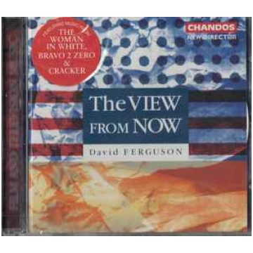 Lietots - CD David Ferguson - The View From Now Ch