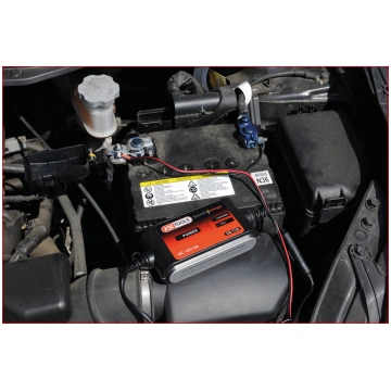 SMARTcharger ātrā kontakta kabelis ar 2 gredzenvei