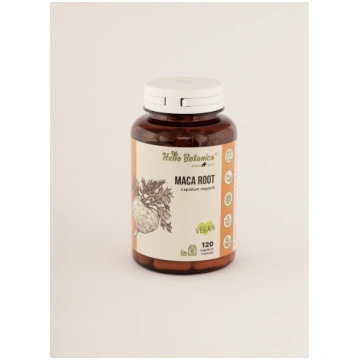 Maca Root (Lepidium meyenii) Makas Saknes Pulveris