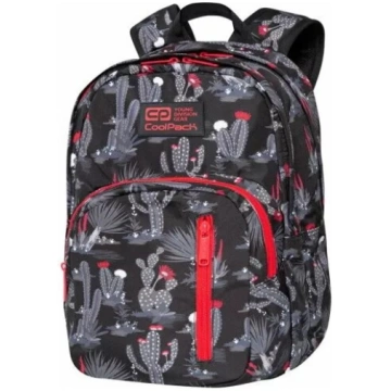 Mugursoma cool pack Discovery Gringo C38254 — tilp