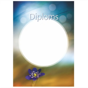 Diploms D-011