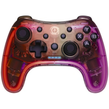 CANYON GPW-04 2.4G Wireless Controller with built-