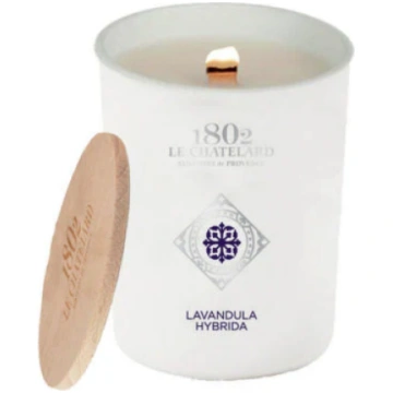 Candela profumata Lavandula Hybrida Le Chatelard 1