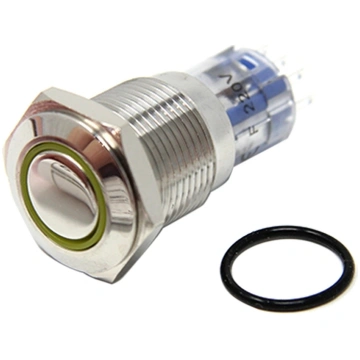 Switch: vandal resistant; DPDT; 3A/250VAC; IP67; O