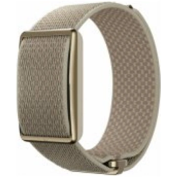 Polar 920115932 Loop S-L Gold / Sand viedpulksteni