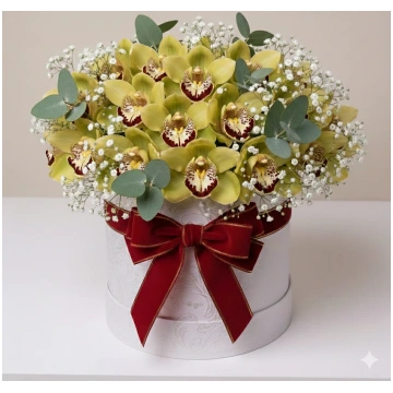 Cymbidium Luxury Box Flowers Palermo