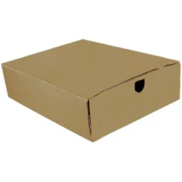 Arhīva kārba AUSTRA 31x8x24cm 01963_80a