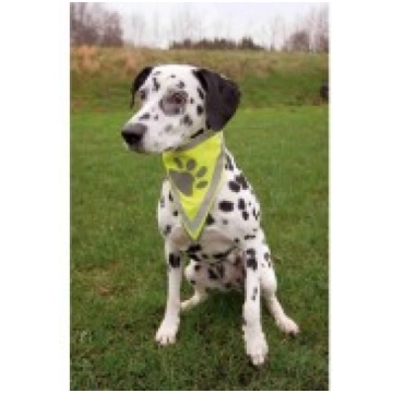 Atstarojošs lakats - Trixie Safer Life neckerchief