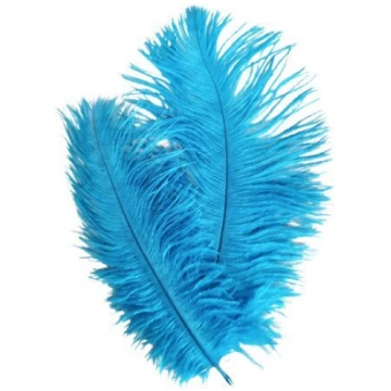Strausu spalvas 15-20cm
