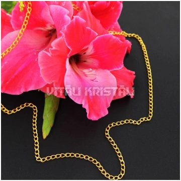 Ķēde 3 mm zelta krāsa 55 cm 1 gb