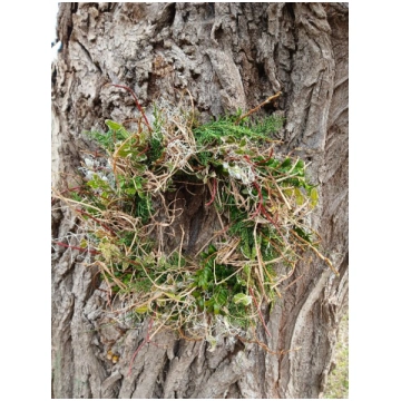Durvju vainags, D 30 cm