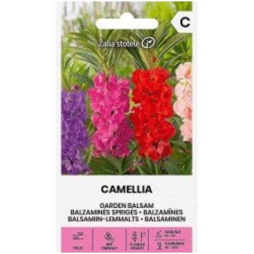 BALZAMĪNES CAMELLIA ŽALIA STOTELĖ
