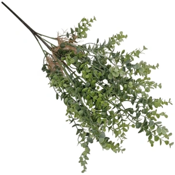 Eikalipta pušķis H54cm