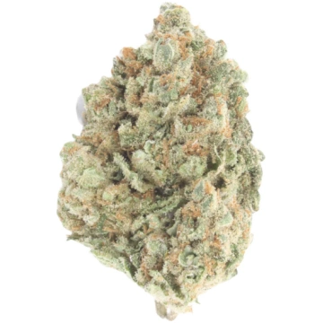 Girl Scout Cookies CBD - NxS - 10g