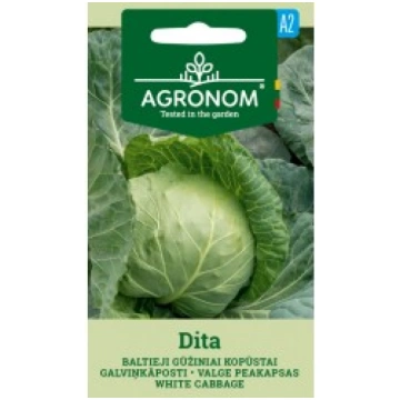 GALVIŅKĀPOSTI DITA AGRONOM