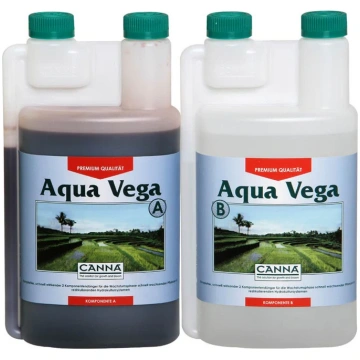 2x5L Amnesia.lt