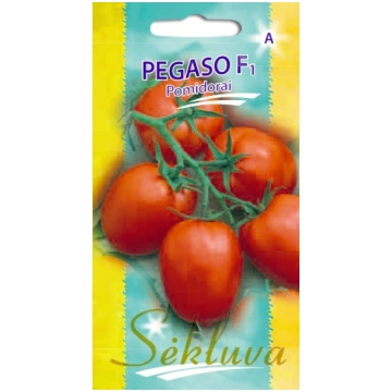 Tomāti Pegaso F1 sēklas 15gb Sēkluva sēklas