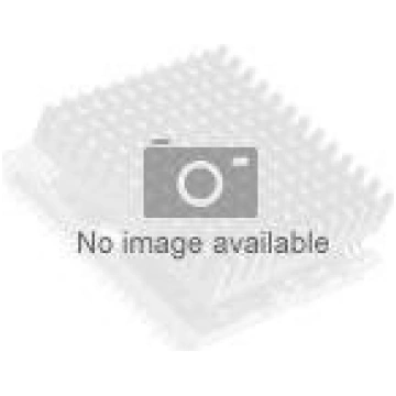 INTEL Core i9-13900KF 24 cores LGA 1700 TRAY - w/o