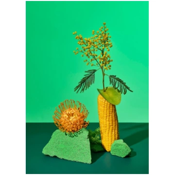 Zane Priede. Plakāts: Continuous Gardens I ISSP