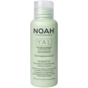 YAL Rehydrating & Restorative Treatment Shampoo At