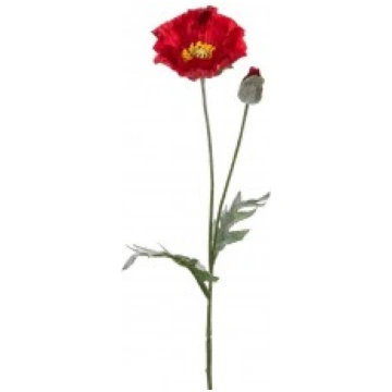MĀKSLĪGĀ MAGONE 67CM FIEBIGER FLORISTIK