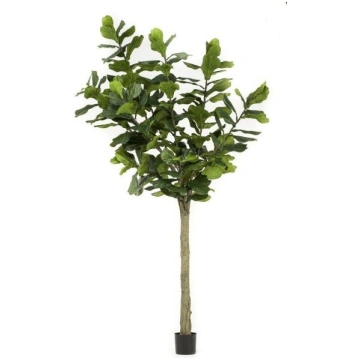 Lietots - Ficus lyrata mākslīgais augs 300cm
